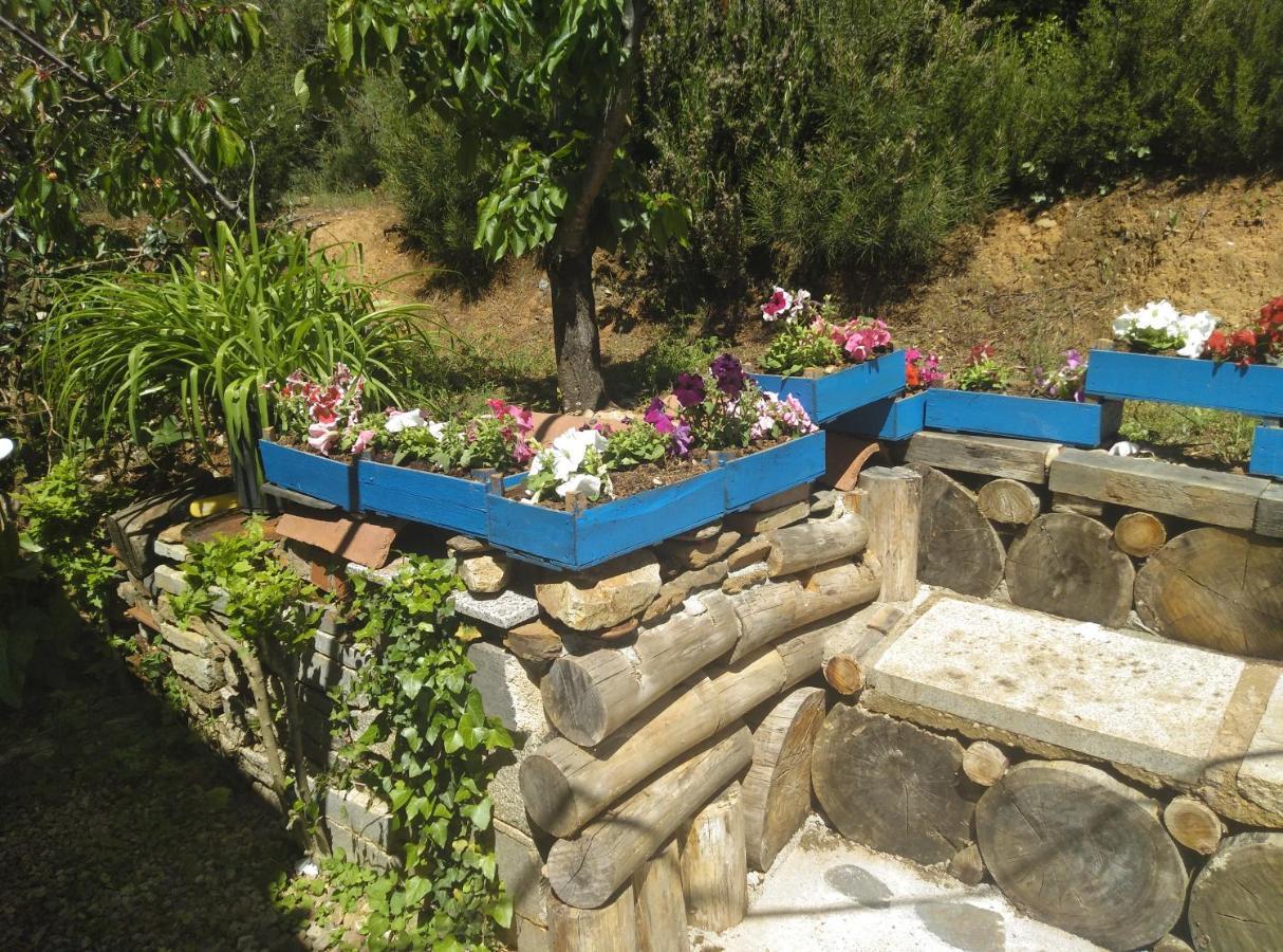 Casa Rural El Arroyo Sotoserrano Ngoại thất bức ảnh