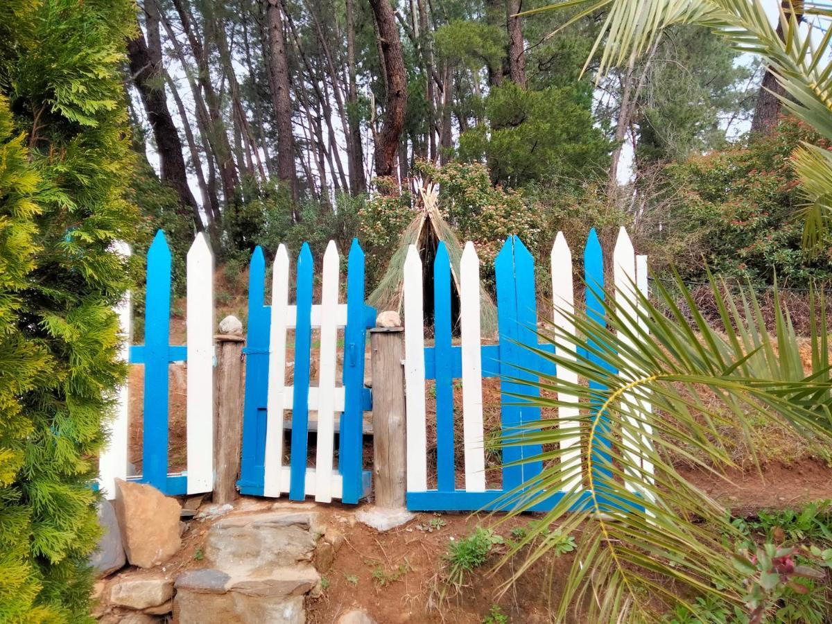 Casa Rural El Arroyo Sotoserrano Ngoại thất bức ảnh