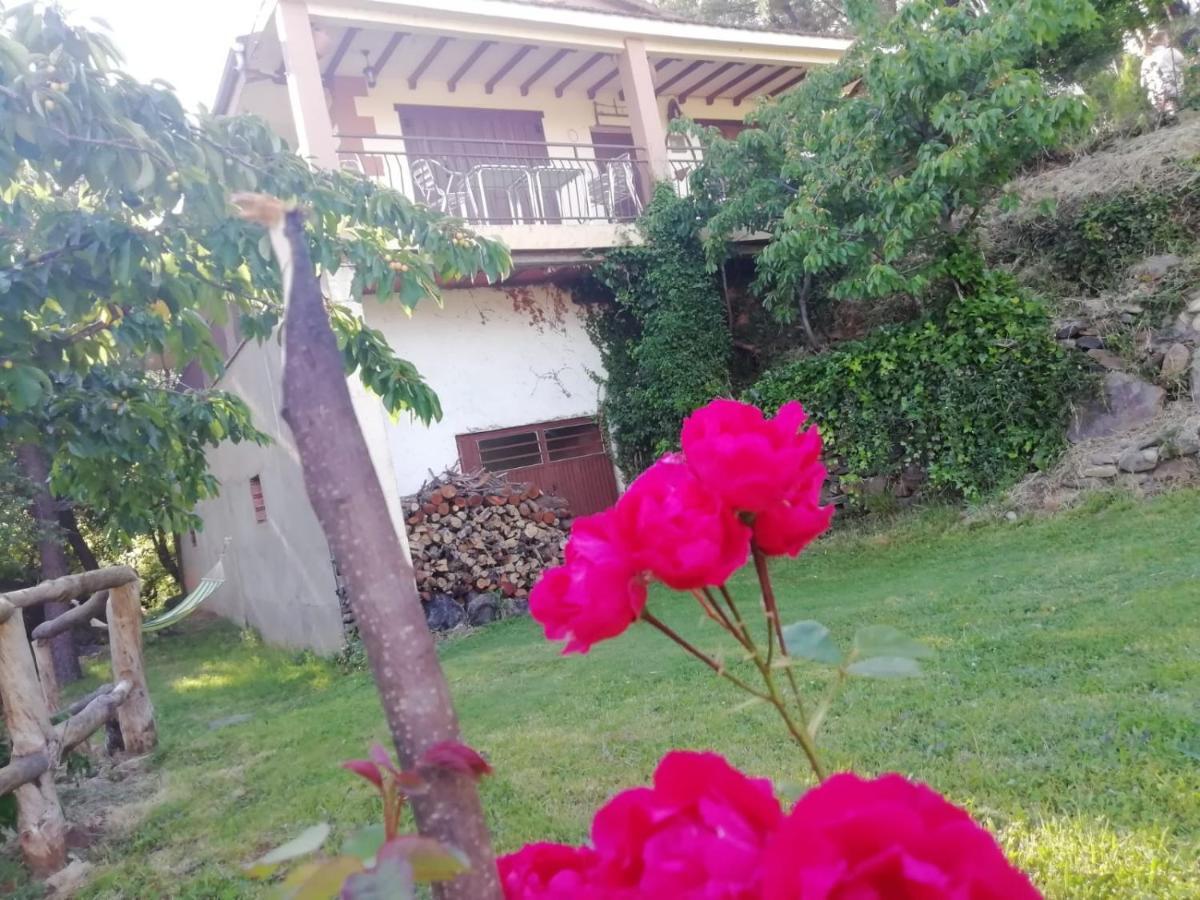 Casa Rural El Arroyo Sotoserrano Ngoại thất bức ảnh